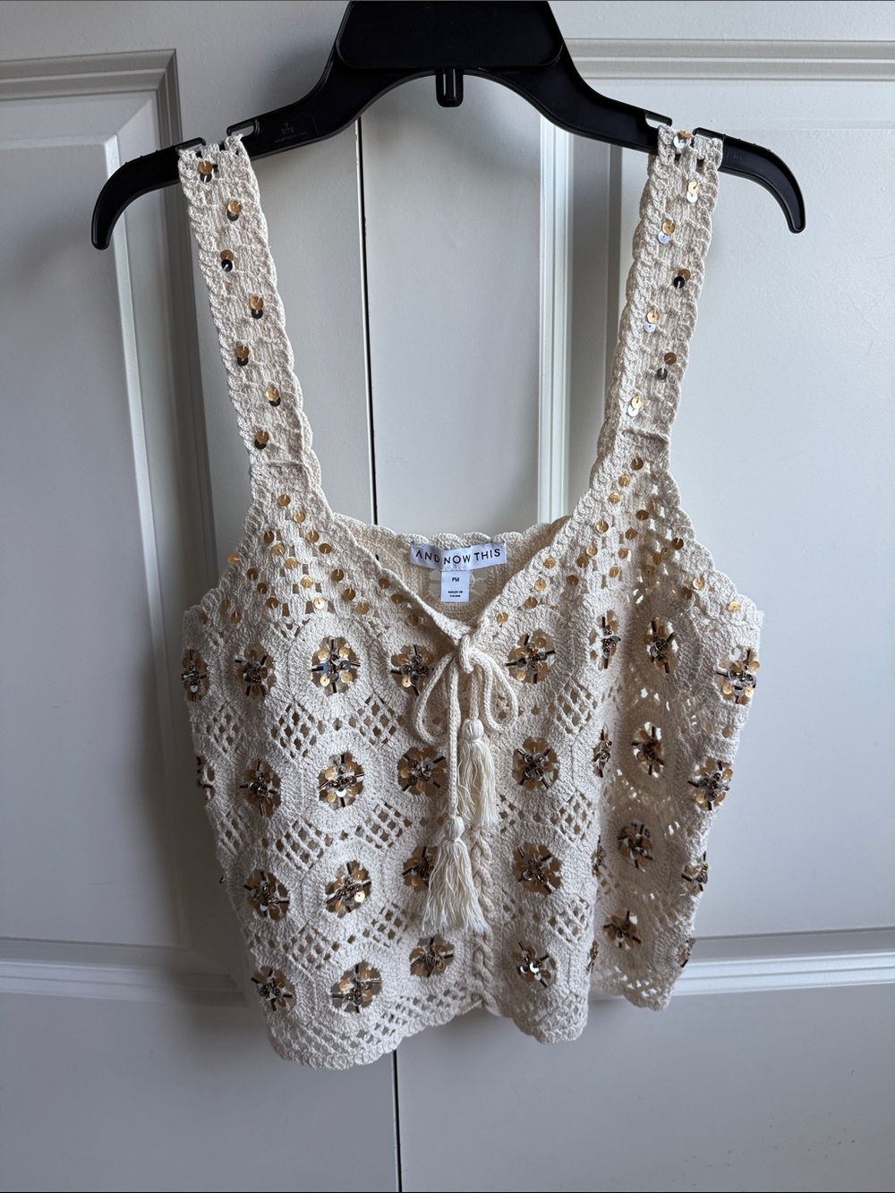 And Now This Ivory Crochet Sequin Camisole